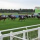 Racing Tips – Thursday’s 337/1 Lucky 15 Tips from Market Rasen, Leicester & Wincanton