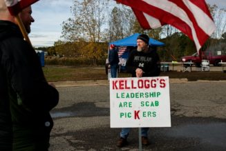 Redditors are spamming Kellogg’s job portal to support striking workers