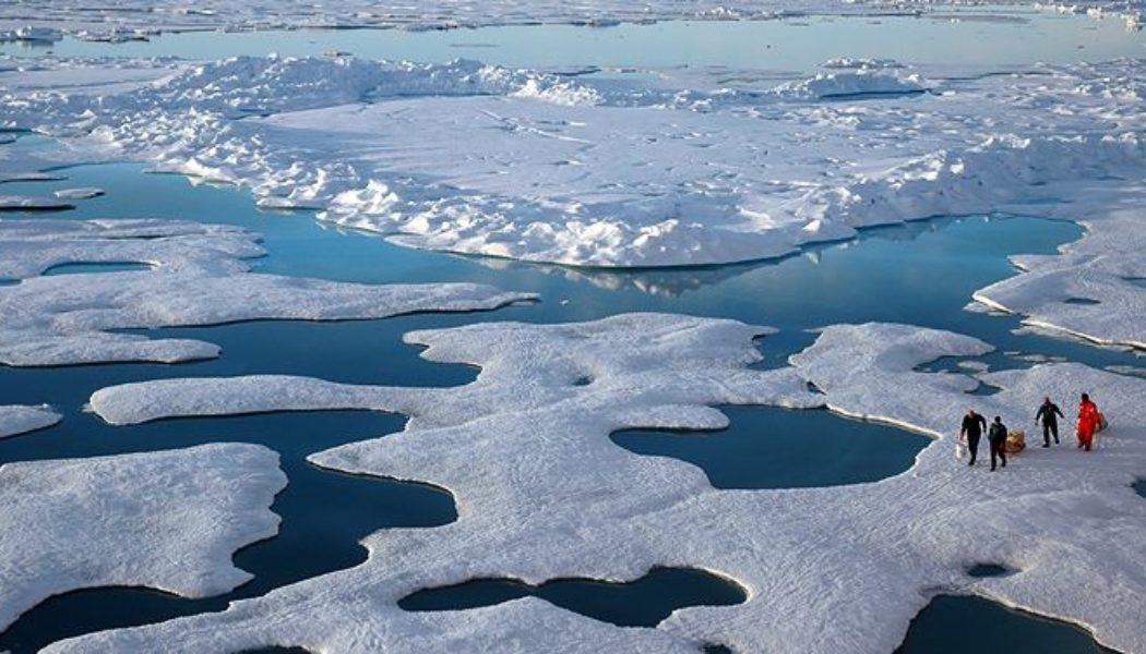 Rising temperatures are causing an unprecedented transformation in the Arctic