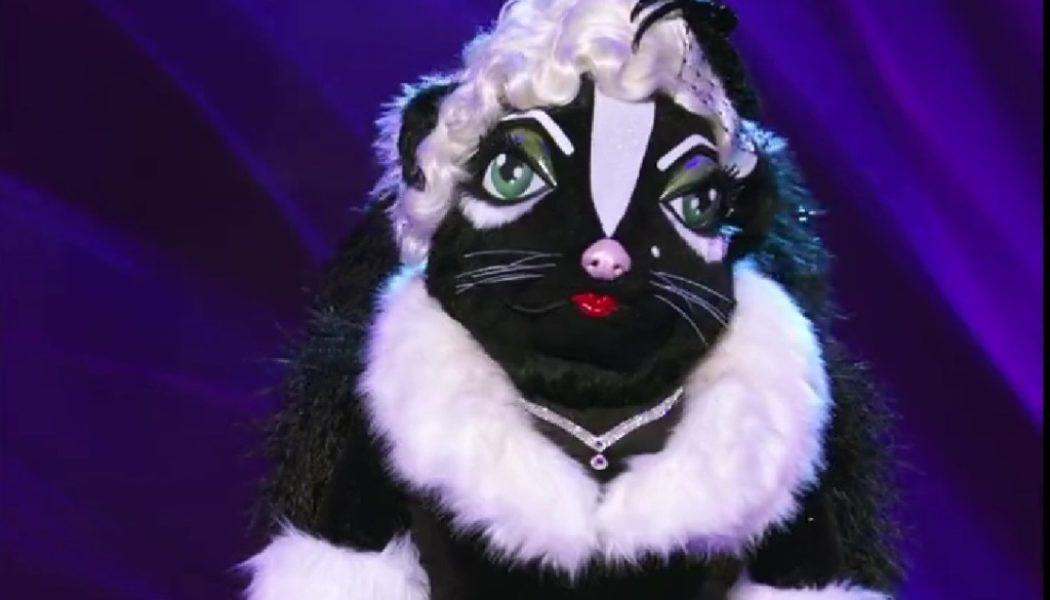 Skunk Is Revealed as Grammy-Winning Star on ‘The Masked Singer’