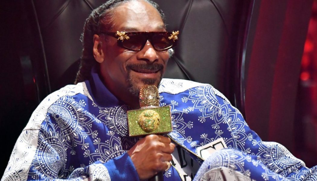 Snoop Dogg Drops 1-of-1 “Decentral Eyes Dogg” NFT