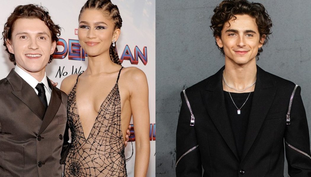 Tom Holland and Zendaya Discuss Timothée Chalamet Playing a Spider-Man Villain