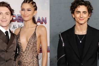 Tom Holland and Zendaya Discuss Timothée Chalamet Playing a Spider-Man Villain