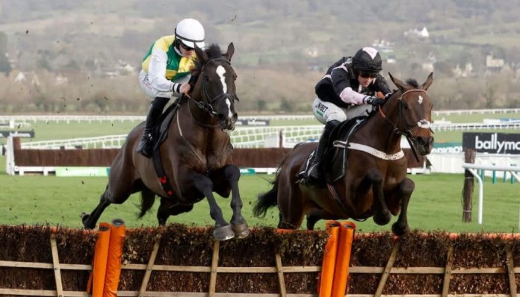 Cheltenham Festival Trials Day Tips – Five Best Bets & Saturday Selections