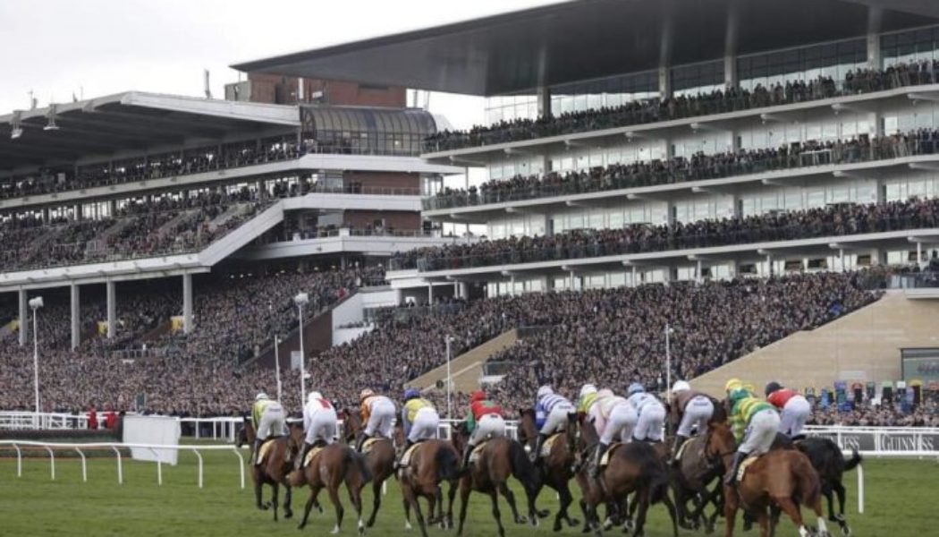 Cheltenham Non Runner No Bet Bookmakers – Which Bookies Go NRNB at the Festival?