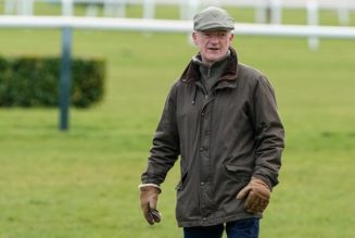 Cheltenham Top Trainer Odds & Tips – Willie Mullins in Pole Position for Top Festival Handler Honours Again