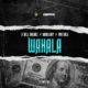 D Will Dreamz ft Barry Jhay & Portable – Wahala