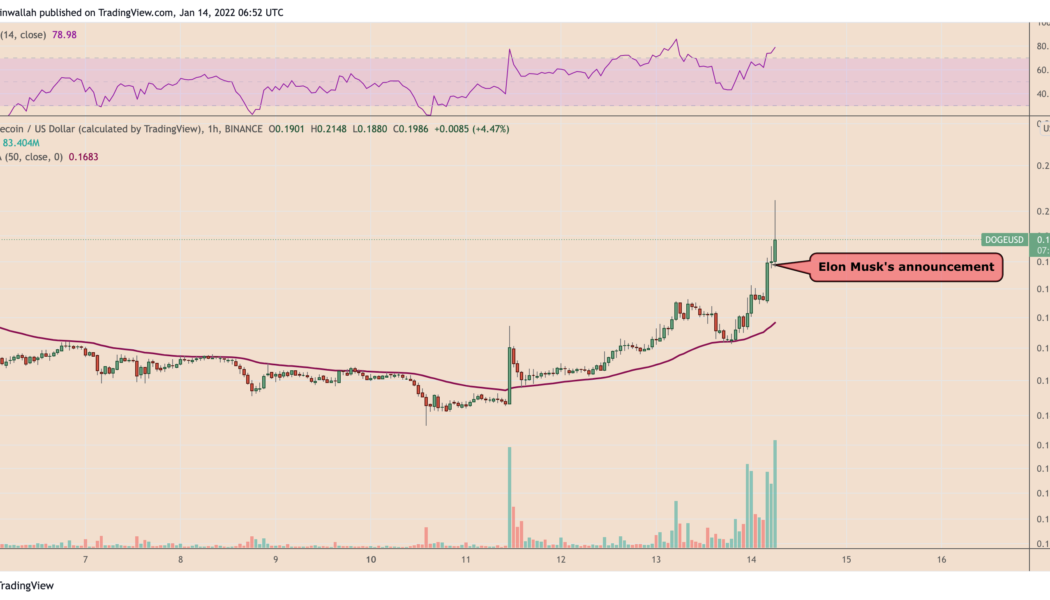 Dogecoin leaps 25% after Musk announces DOGE payments for Tesla merch