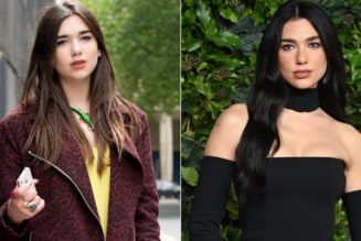 Dua Lipa’s Style Evolution in 17 Career-Defining Fashion Moments