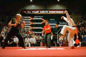 How Real Is the Karate in The Karate Kid?