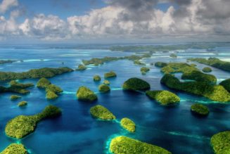 Palau Launches a Digital Residency Program