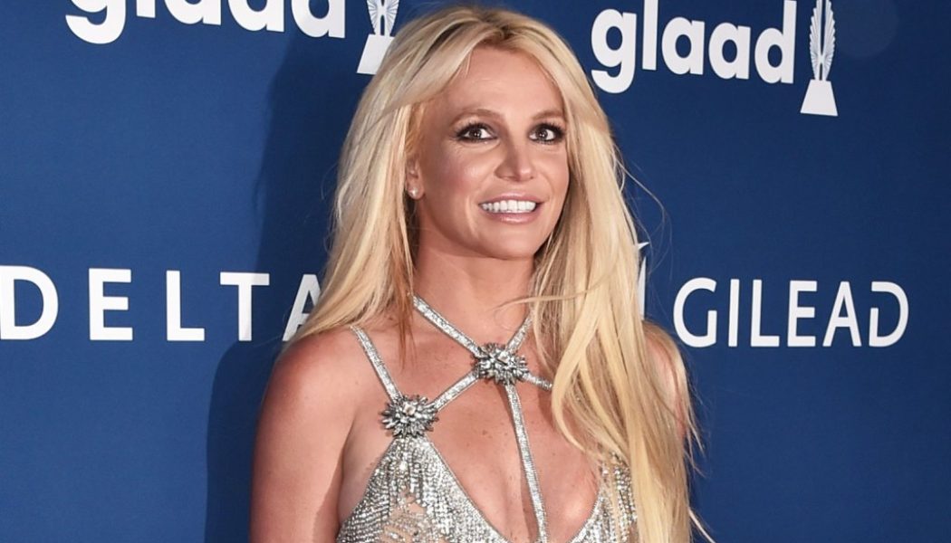 Purple Hair, Don’t Care: Britney Spears Unveils Hair Transformation