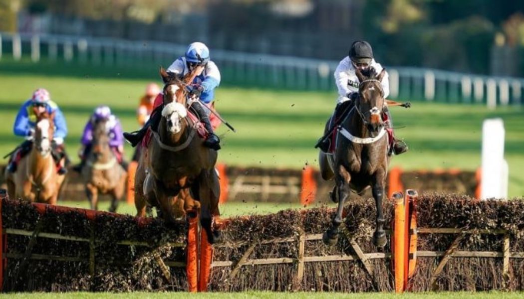 Racing Tips: 2022 Tolworth Hurdle Tips – Constitution Hill All the Rage for Sandown Novice Grade 1