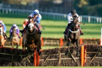 Racing Tips: 2022 Tolworth Hurdle Tips – Constitution Hill All the Rage for Sandown Novice Grade 1