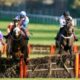 Racing Tips: 2022 Tolworth Hurdle Tips – Constitution Hill All the Rage for Sandown Novice Grade 1