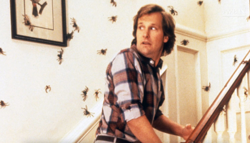 Scientists Name Spider-Killing Worm After Jeff Daniels