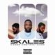 Skales ft Zlatan & Krizbeatz – Selese