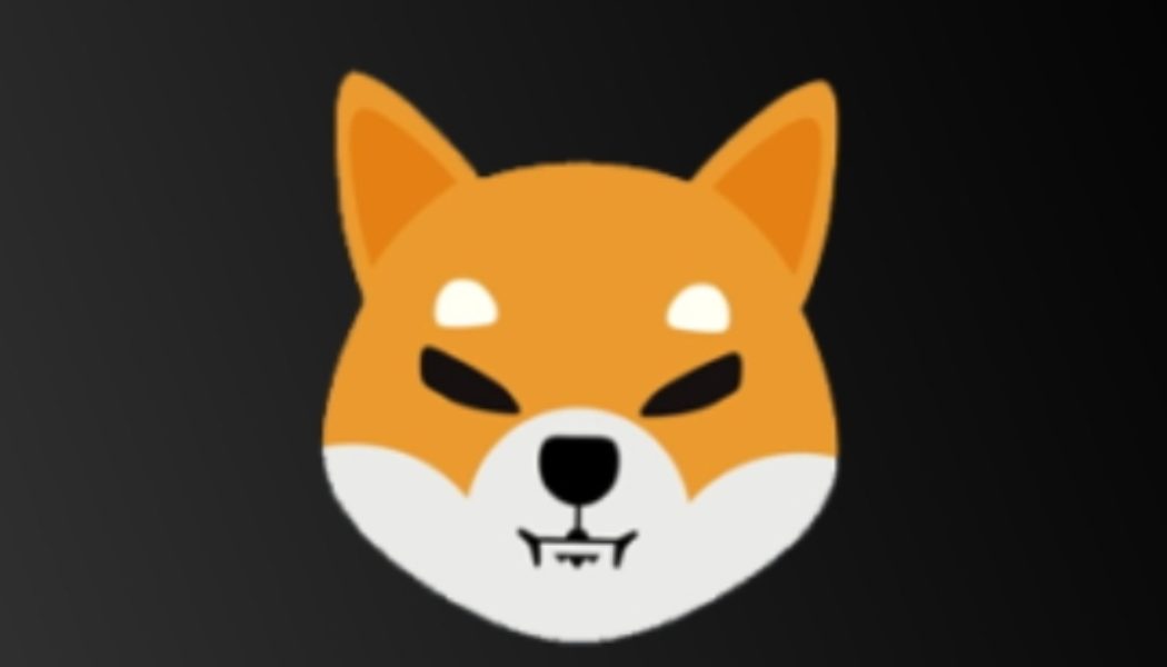 Team Behind Shiba Inu Disappointed With Coinmarketcap for listing 3 Fake Shib Token