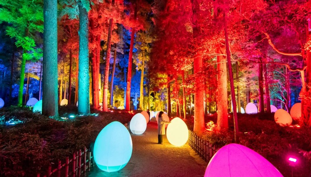 teamLab to Unveil ‘Digitized Kairakuen Garden 2022’