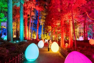 teamLab to Unveil ‘Digitized Kairakuen Garden 2022’