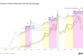 What bear market? Current BTC price dip still matches previous Bitcoin cycles, says analyst