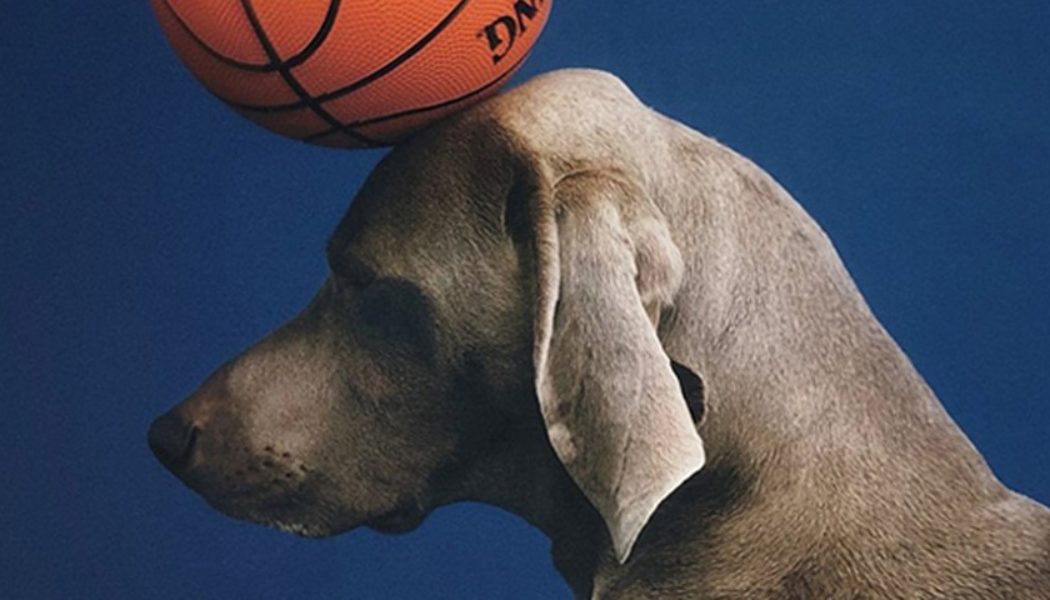 William Wegman Is the Artist Who Captures His Dogs as Humans