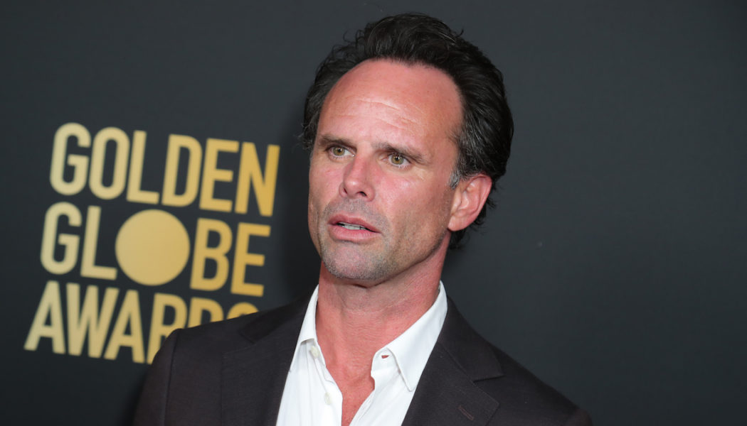 Amazon Casts Walton Goggins in Fallout TV Series