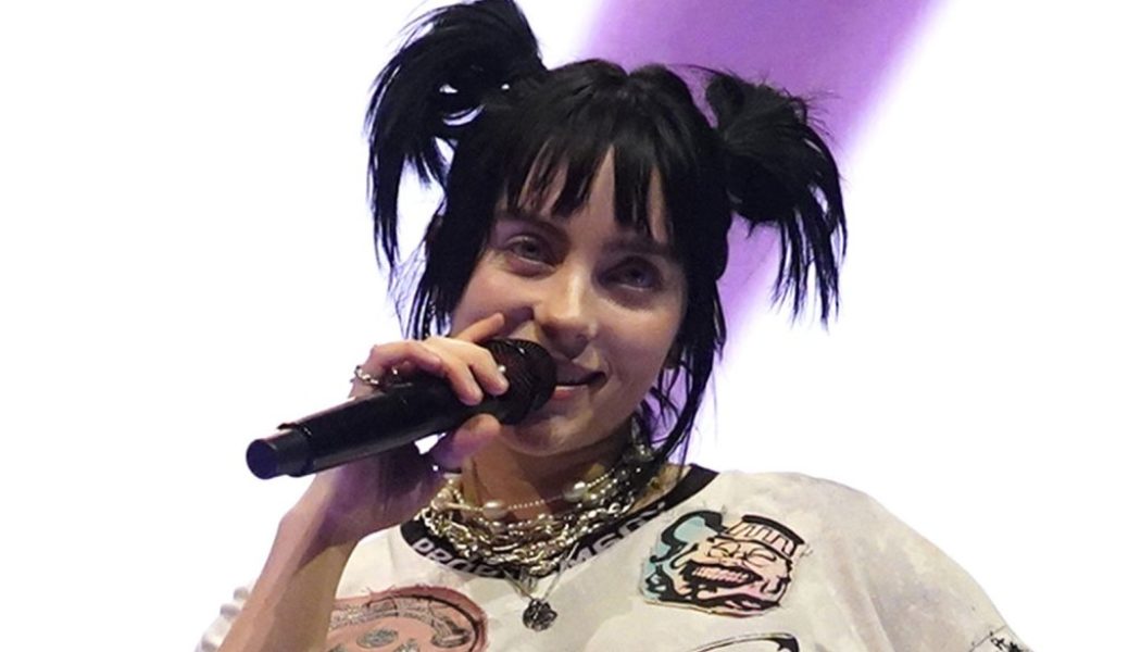 Billie Eilish Pauses Concert to Give Fan an Inhaler