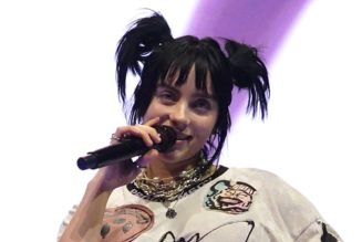 Billie Eilish Pauses Concert to Give Fan an Inhaler