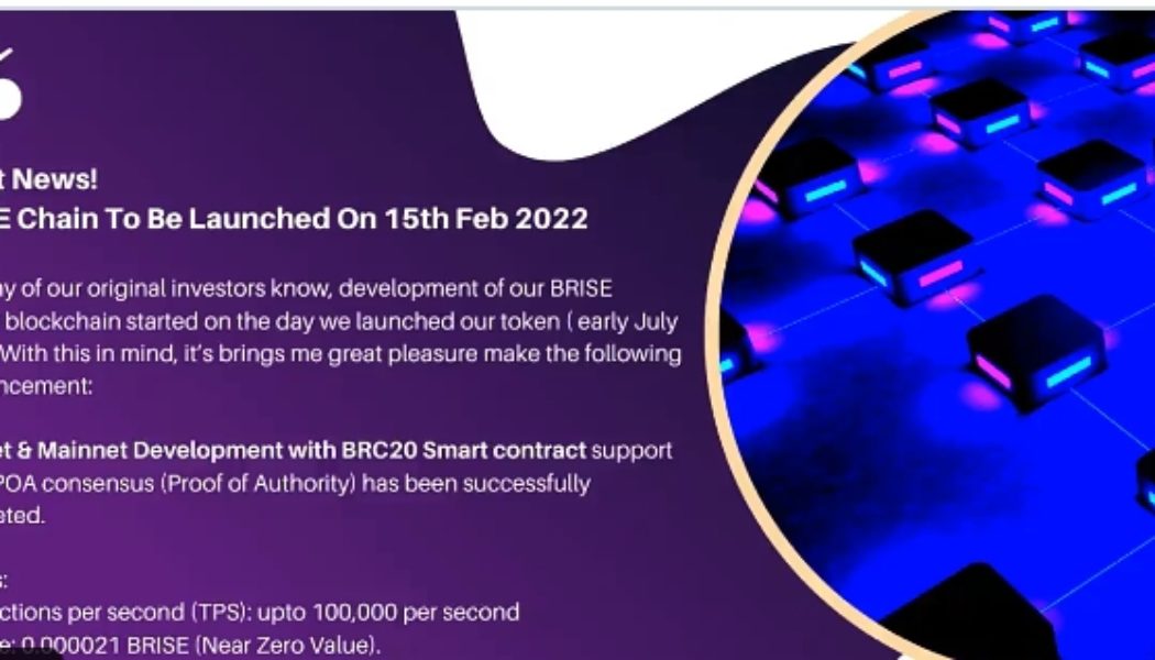 Birise Tokens complete Testnet and Mainnet, set to Launch it own Blockchain 15th of Feb 2022