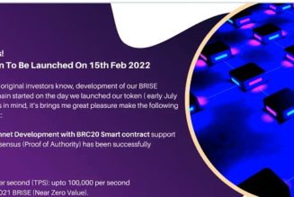 Birise Tokens complete Testnet and Mainnet, set to Launch it own Blockchain 15th of Feb 2022