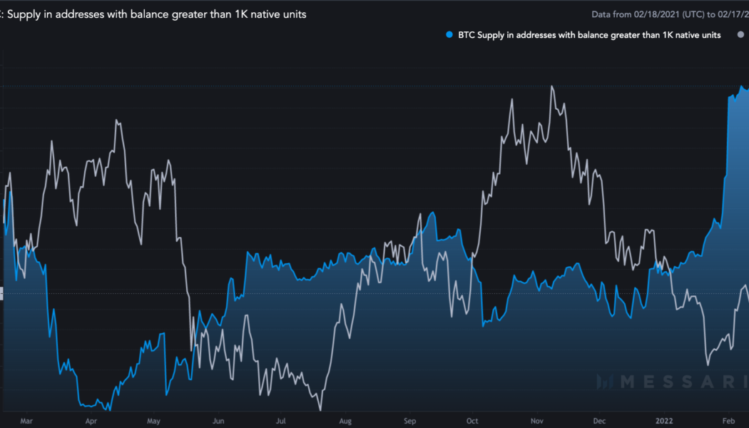 Bitcoin ‘whales’ and ‘fishes’ pause accumulation as markets weigh March 50bps hike odds