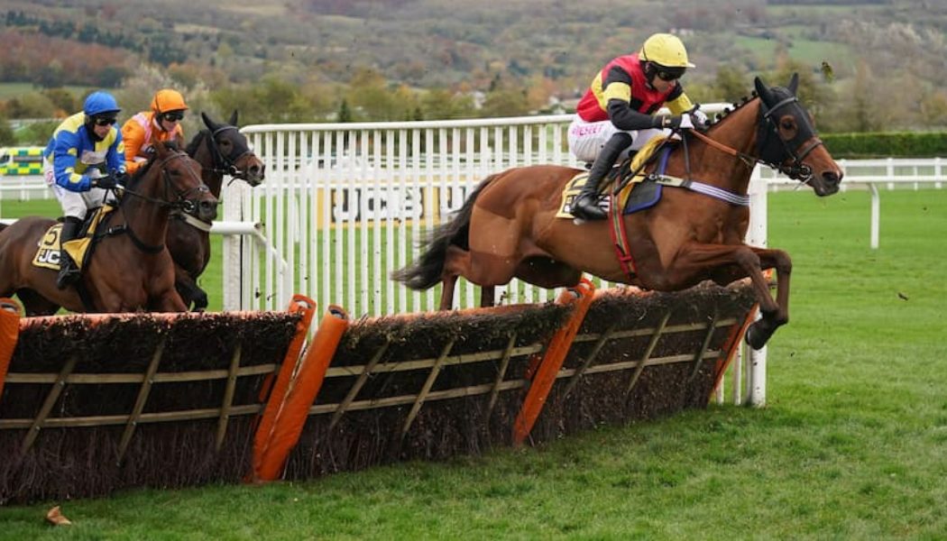 Cheltenham Festival Ante-Post Tips: Back Knight Salute at 10/1 For The Triumph Hurdle