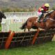 Cheltenham Festival Ante-Post Tips: Back Knight Salute at 10/1 For The Triumph Hurdle