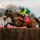 Denman Chase Tips, Predictions & Preview – Clan Des Obeaux Clashes with Royale Pagaille in Newbury Cracker