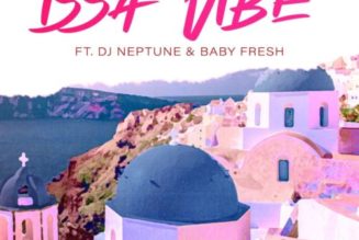 Detailmadeit ft DJ Neptune & Baby Fresh – Issa Vibe