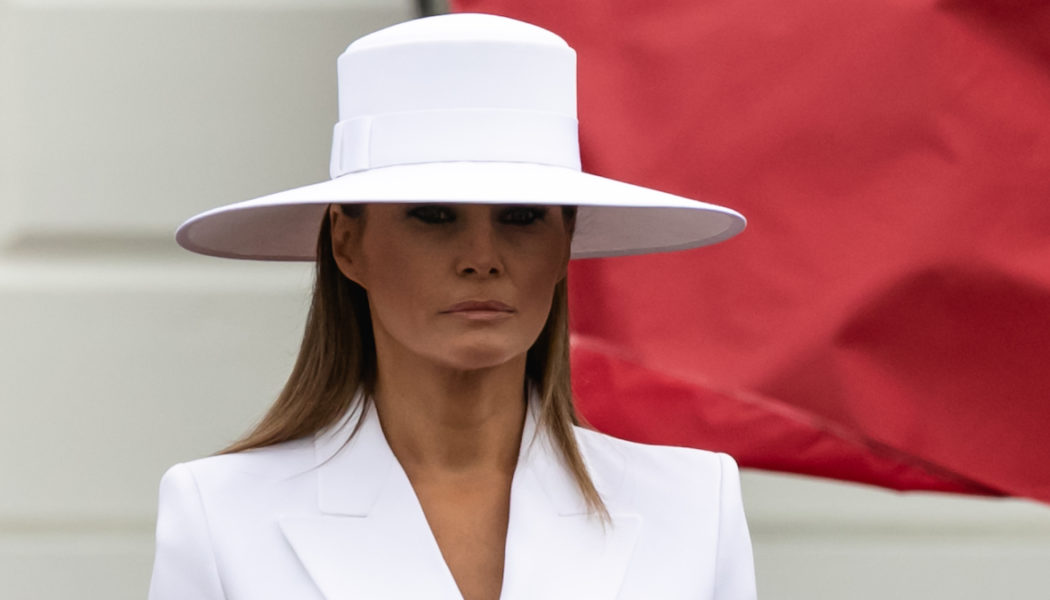 Did Melania Trump Buy Her Own NFT?