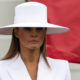 Did Melania Trump Buy Her Own NFT?