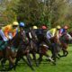 Horse racing tips today: Friday’s best UK and Ireland racing bets