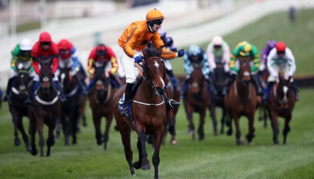 Horse racing tips today: Tuesday’s best UK and Ireland racing bets