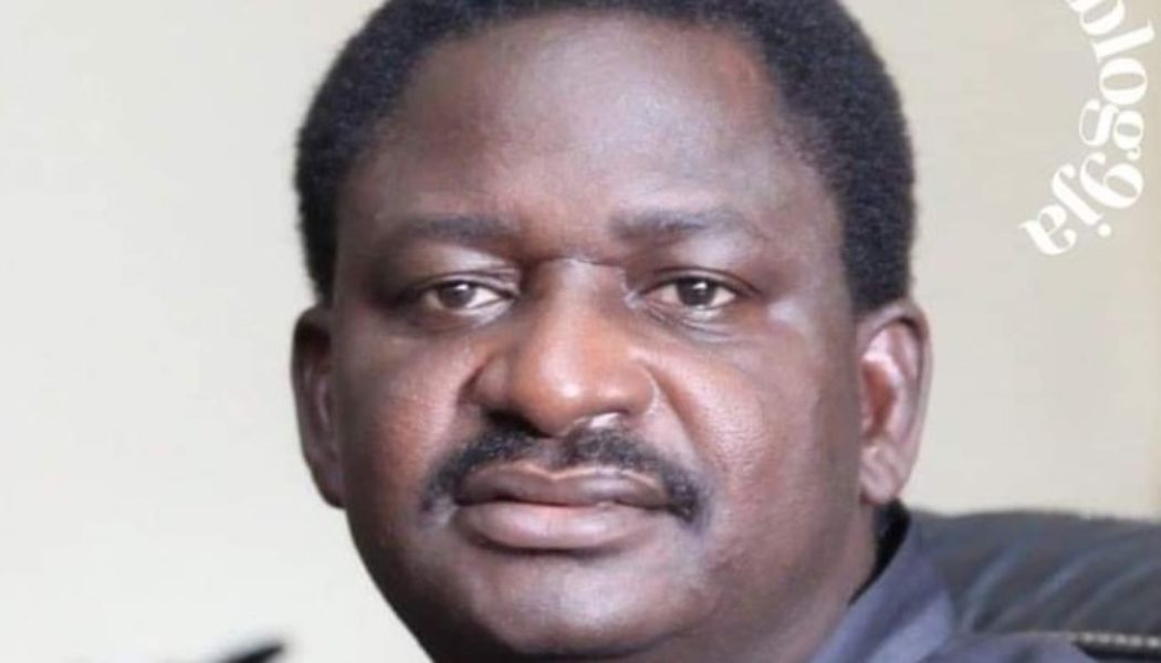 I pray Nigerians will elect a leader like Buhari in 2023 — Presidential aide, Femi Adesina