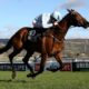 Irish Champion Hurdle Tips, Predictions & Preview – No Opposing Honeysuckle Hat-Trick at Leopardstown