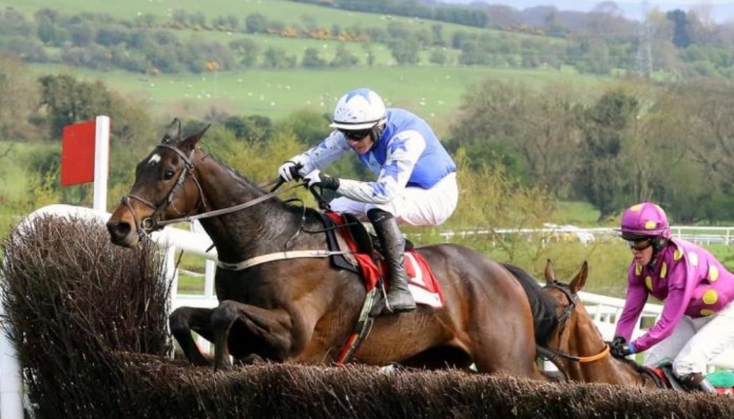 Irish Gold Cup Tips, Predictions & Preview – Kemboy Faces Frodon at Dublin Racing Festival