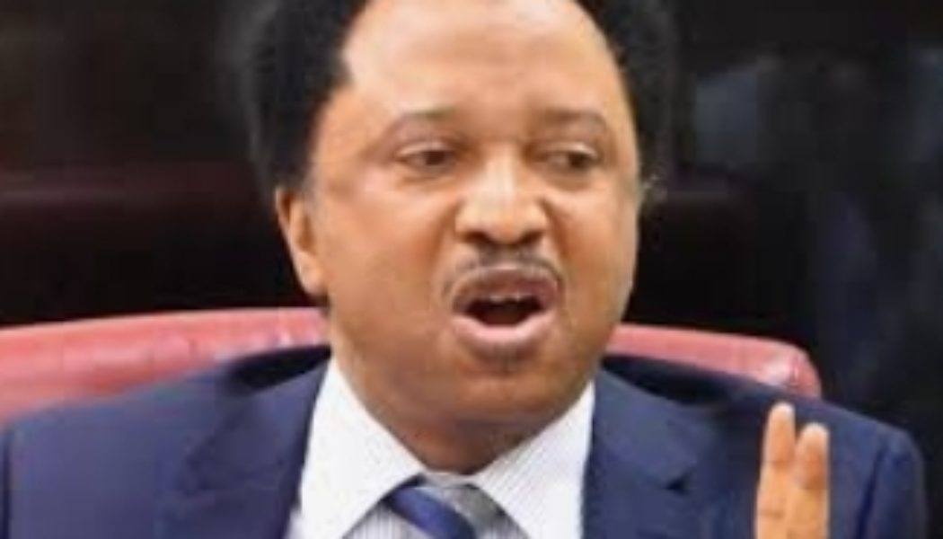 Killings continue in Southern Kaduna, People now live at the mercy of Terrorist – Sen. Shehu Sani cried out