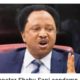 Killings continue in Southern Kaduna, People now live at the mercy of Terrorist – Sen. Shehu Sani cried out