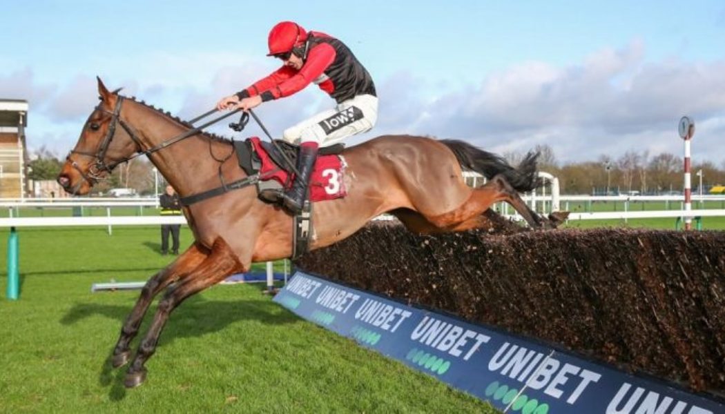 Lucky 15 Tips: Four horses to back on Friday 25th February