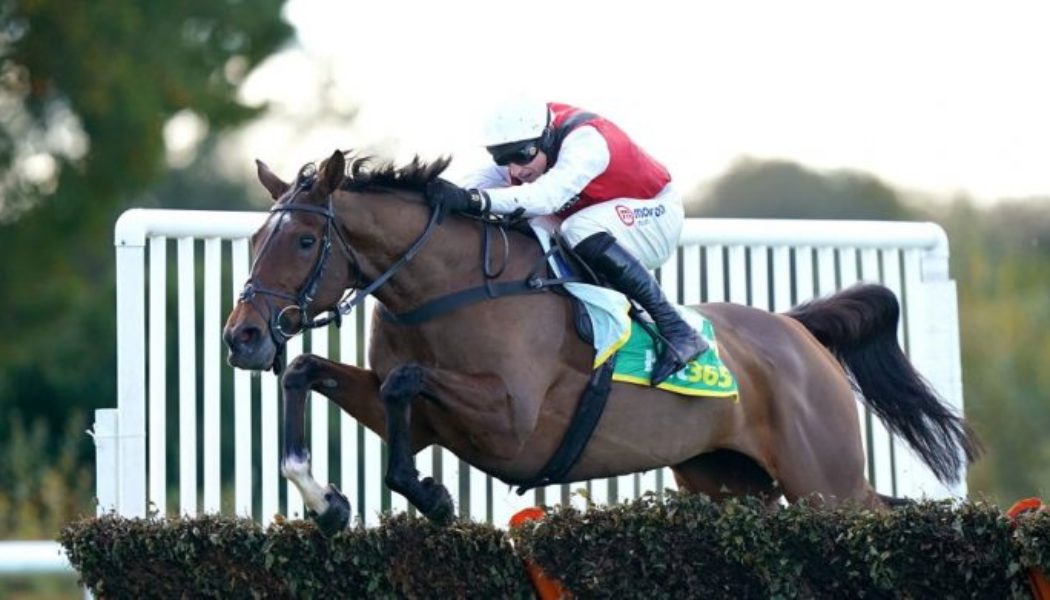 Lucky 15 Tips: Four horses to back on Saturday 26th February