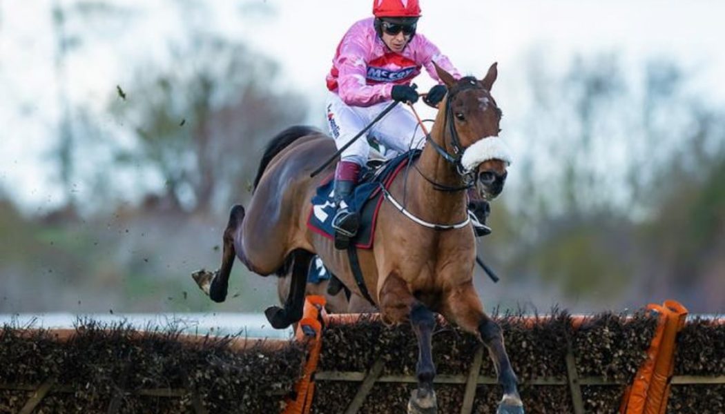 Lucky 15 Tips: Four horses to back on Sunday 27th February