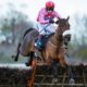 Lucky 15 Tips: Four horses to back on Sunday 27th February