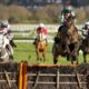 Lucky 15 Tips: Four horses to back on Thursday 24th February